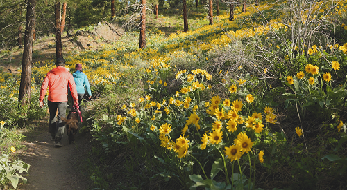 Hiking in the Wenatchee Wilderness
