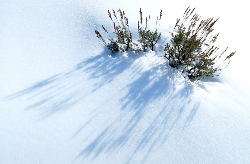 Snow Peak - telly Celes | Snow Peak