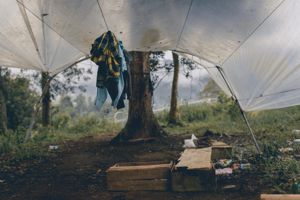 toby-wong-342344-unsplash-